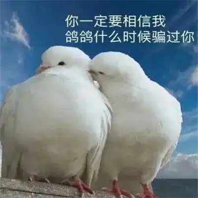 switch,又把大家鸽了switch游戏任天堂自行车网易订阅