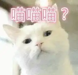 三团表情包什么动物喵喵