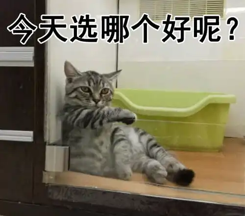 红尘表情包让你们爱啊爱地去酸去吧,我一个狗保持清香就行