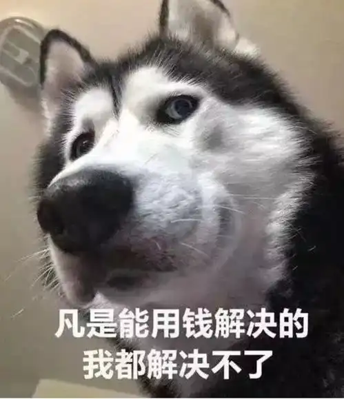求求你表情包搞笑求收养