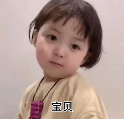 表情包看看猪在干嘛