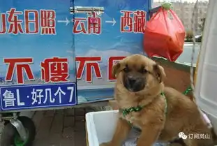 岚山两帅哥今日出发徒步云南西藏