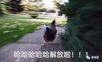 鸡年当然要用鸡的表情包啊有了这些图,新一年斗图王者就是你