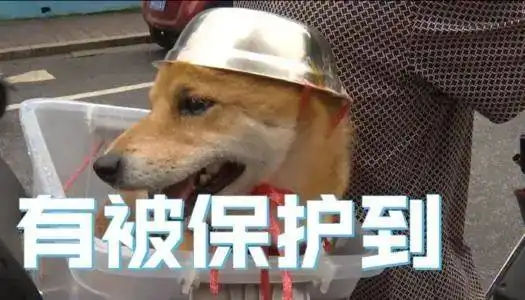 当场殒命相似的交通事故,不一样的结局,皆因......一盔一带