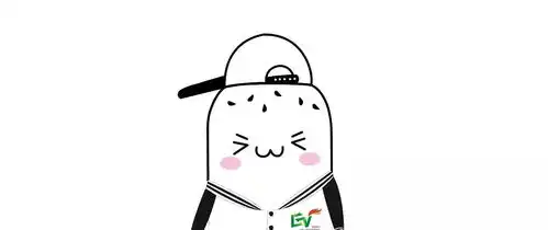 原来你们是这样的幕后团队益微论坛