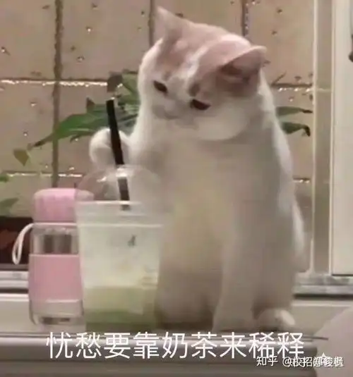 请问一下,boss直聘上的工作可信吗
