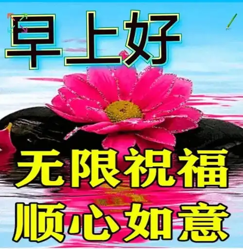 关心图片表情祝福