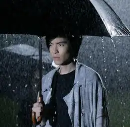 萧敬腾求雨表情包大雨