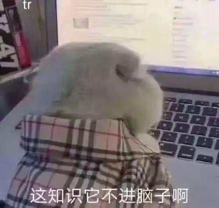 初次接触网课小学生,家长该如何帮助孩子自律学习