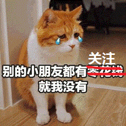 搞笑橘猫在灶台里睡觉,一觉醒来成黑炭头,网友你是暹罗