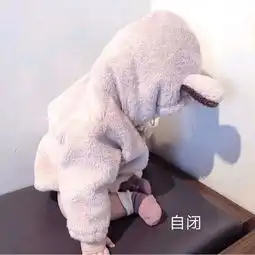 败家娘们儿dj版