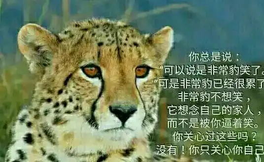 不关心国家大事的人怎么怼孩子不爱祖国怎么办