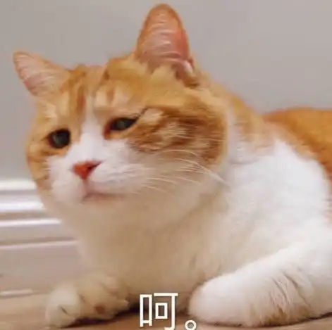 渣女专属表情包多处几个男朋友怎么了,我打字快又不是聊不过来