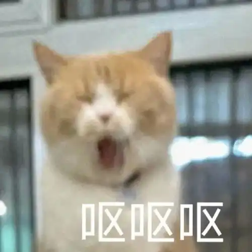 每日一笑攒了几年的家底刚好够一首付