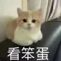 舟山有海萝卜出没海萝卜是什么萝卜