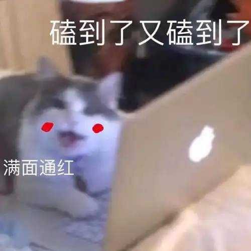 被导师秀了一脸的恩爱网友评论呜呜呜这也太虐狗了