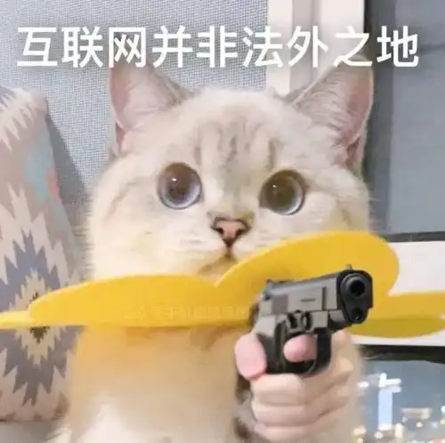 小猫唱歌表情包