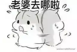 七夕防虐脱单指南另附撩妹表情包,好污好霸道