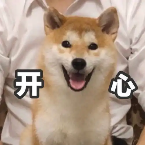 冷汗表情包沙雕