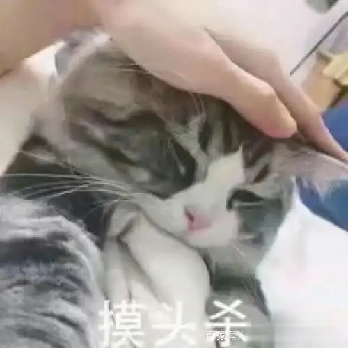 笑话十则瞧你那点出息,咱俩都已经结婚啦,你还往衣柜里藏啥