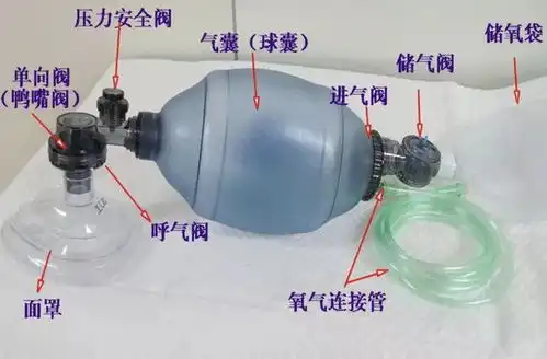 简易呼吸器呼气阀图片