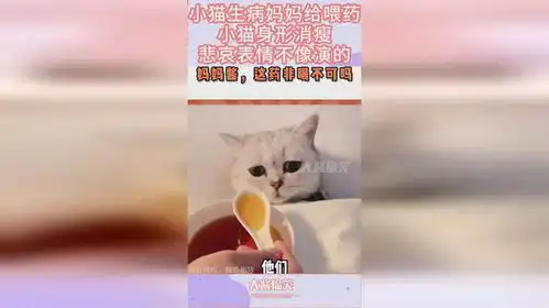 小猫卖萌表情包悲伤的猫