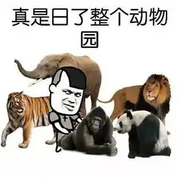 你怼人用哪些表情包搜狐时尚搜狐网