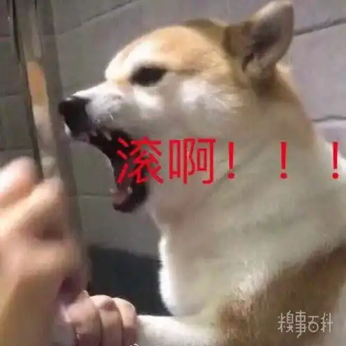 表情包沙雕动画文案