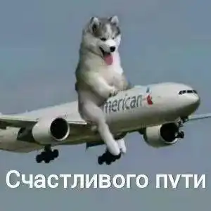 再见只会用пока20俄语用语全攻略全文带读
