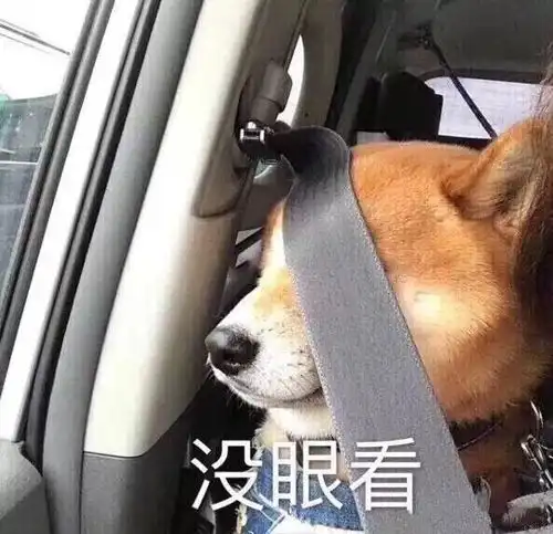 两个小白人摸头表情包帕