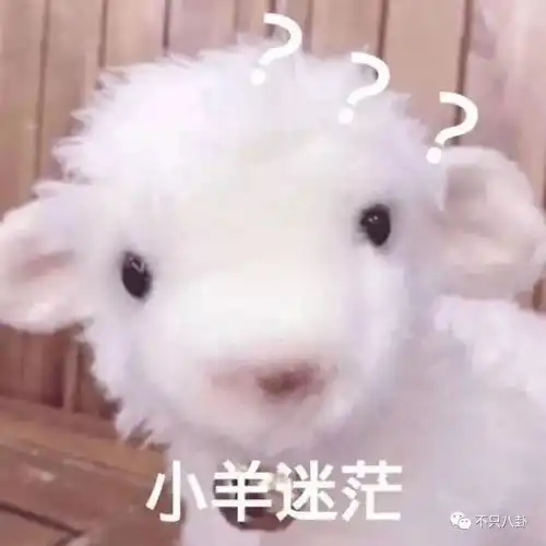 全网都等不来一个她的生日祝福,这对儿是真be了吗