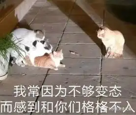 渣男潜水教练,人设崩塌,潜水圈并不是人间净土室友