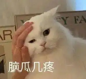 不回答问题表情包