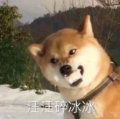 我才20岁,我居然就得了糖尿病,好崩溃