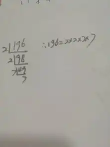 196怎么分解质因数要格式