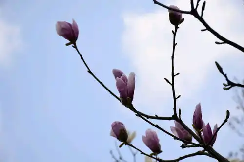 哔哩哔哩专栏