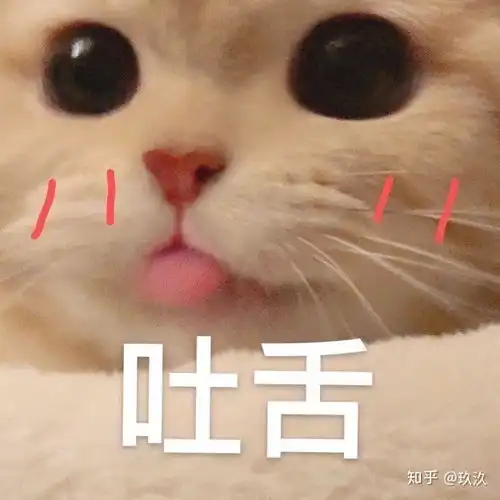 电视剧秋蝉中,除任嘉伦演的叶冲外,你还喜欢谁