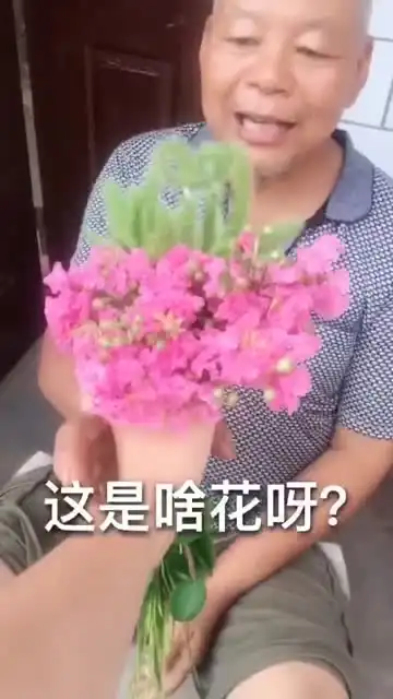 都说女儿是爸爸上辈子的小情人,那就祝爸爸情人节快乐
