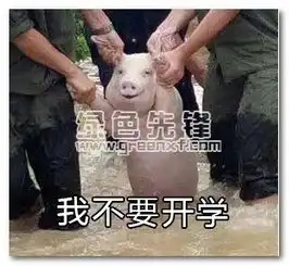网红小猪我不要开学表情包网红小猪我不要开学表情合集高清版软件下载