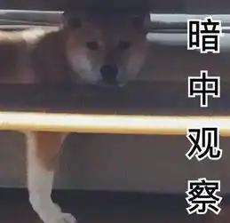 今天的又一拨儿柴犬表情包来袭,拿走不谢