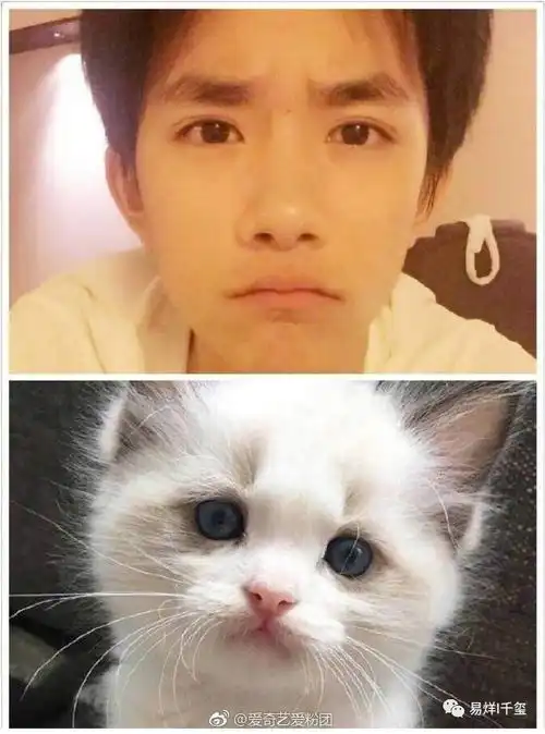 当男神千玺的表情遇上小奶猫