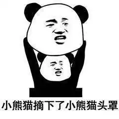 搞笑表情包熊猫人斗图