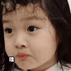 权律二的小女孩表情包动