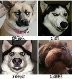 游戏一周刊10171023