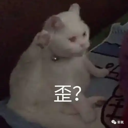 90的顶级神颜都悄咪咪动了这里,不过没人看得出
