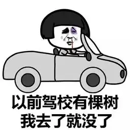 蘑菇头考驾照的体验表情包下载蘑菇头考驾照的体验系列表情包高清无水印极光下载站