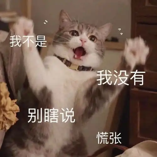 有哪些彩虹屁文案值得一键收藏