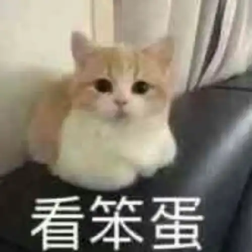 表情包沙雕表情包第三百七十五期