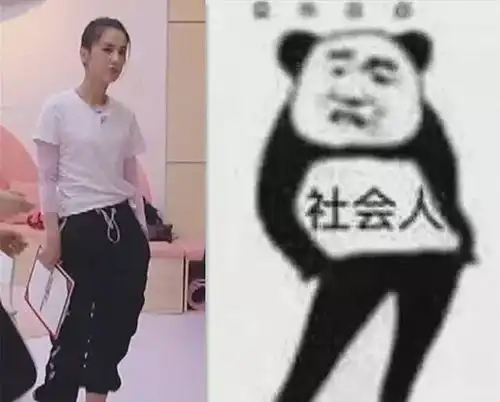社会人站姿表情包熊猫