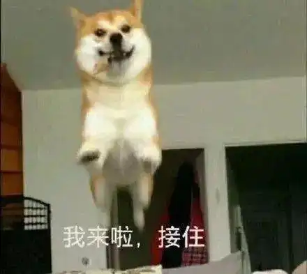 冬致星海春致杏林